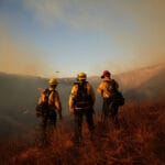 How to Help the Los Angeles Community Affected by Wildfires