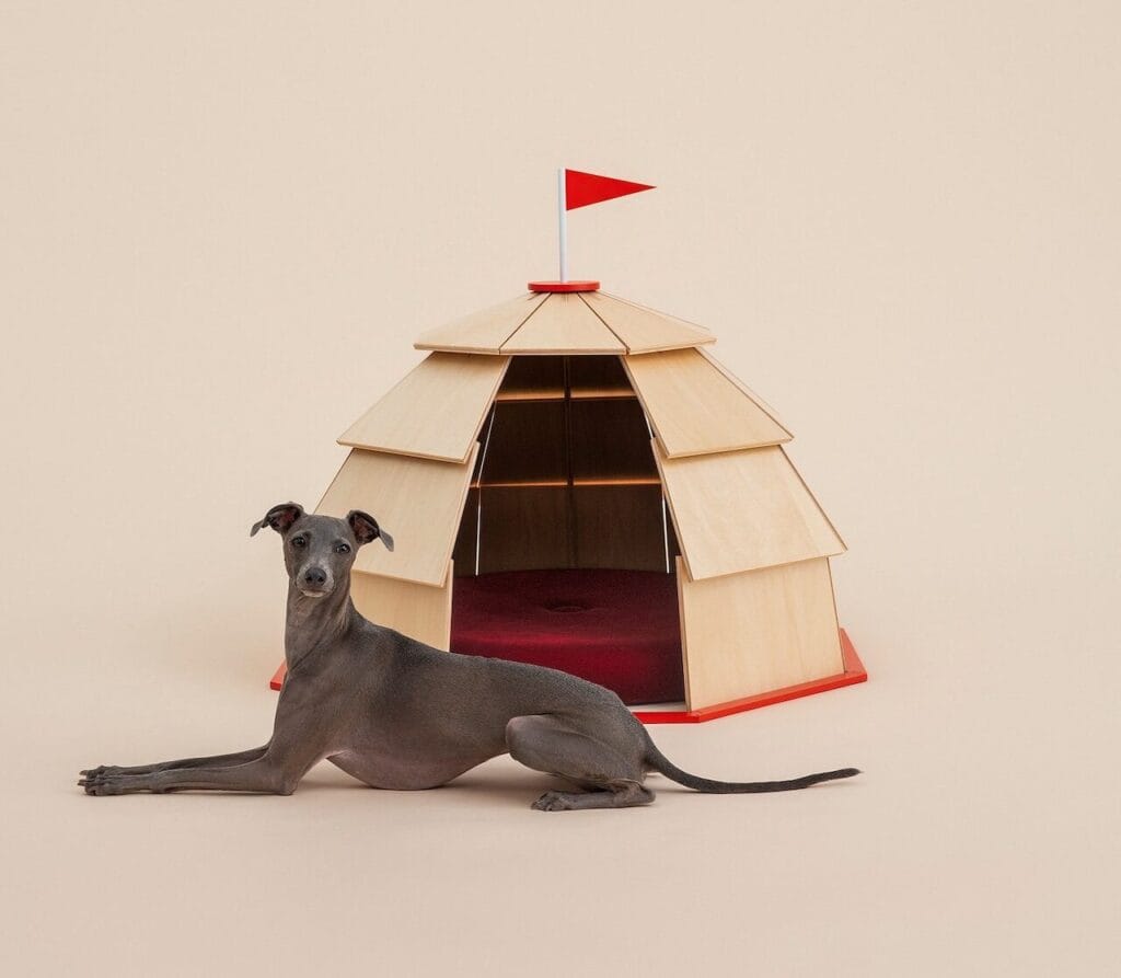 Architecture for Dogs, Tear-off Calendars, Organization + More
