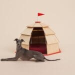 Architecture for Dogs, Tear-off Calendars, Organization + More