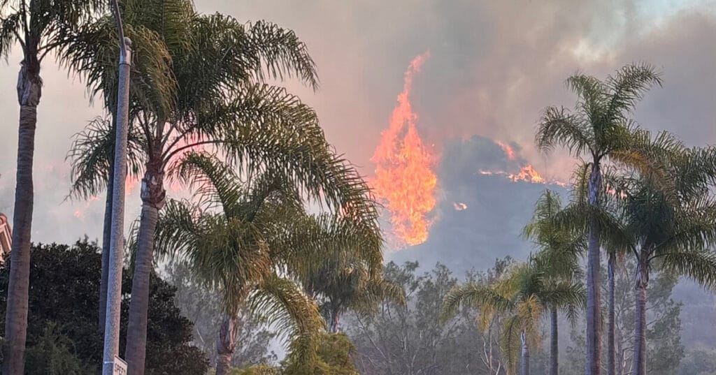 major art organizations launch relief fund for artists impacted by LA wildfires
