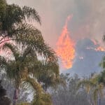 major art organizations launch relief fund for artists impacted by LA wildfires