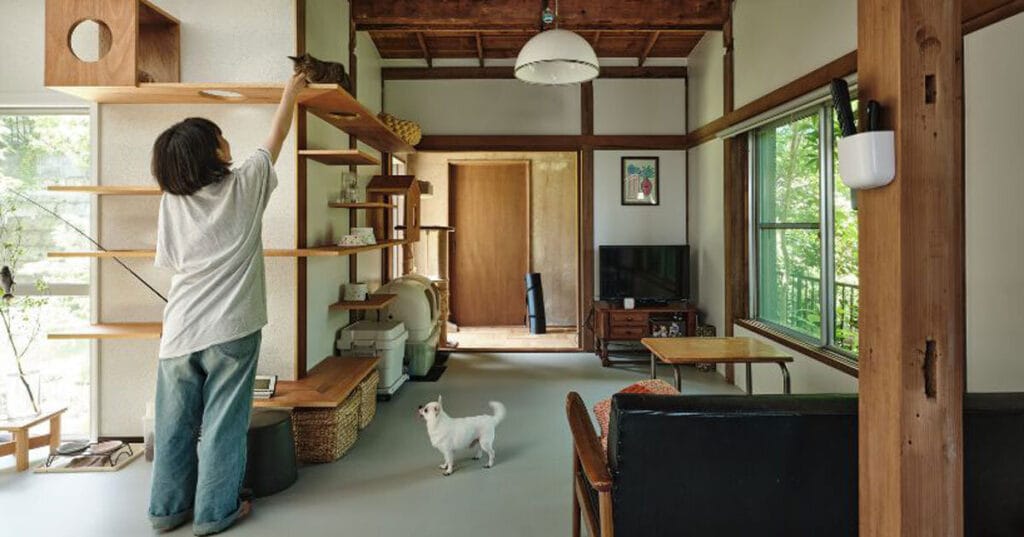 ROOVICE installs play walls for cats into 1970s japanese home