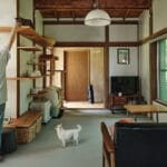 ROOVICE installs play walls for cats into 1970s japanese home