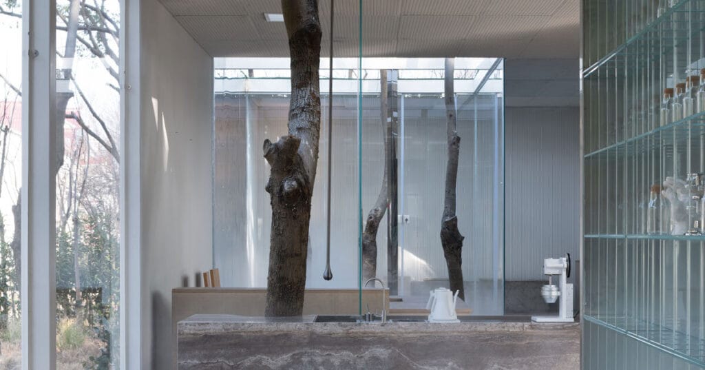 FG studio’s ye café wraps glass walls around trees in shanghai