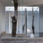 FG studio’s ye café wraps glass walls around trees in shanghai