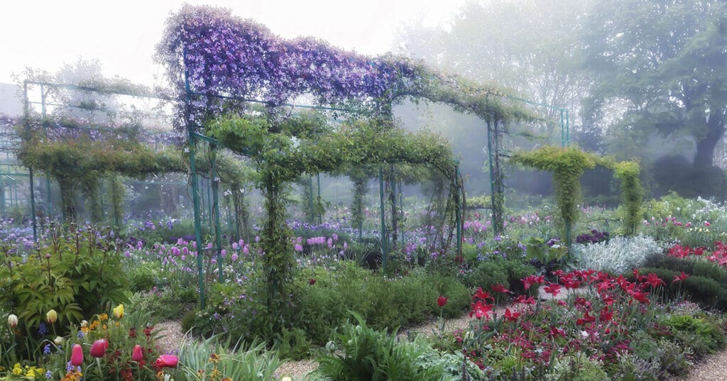 aileen bordman captures claude monet’s gardens for leila heller gallery exhibition