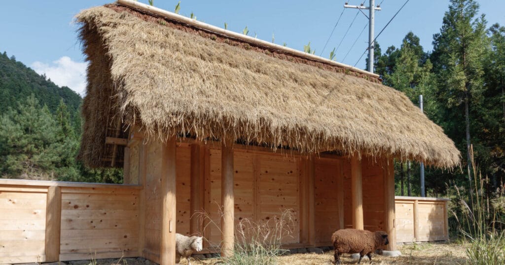 studio 2m26 shapes wooden sheep house in kyoto with rice straws