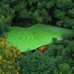 curved green roof shields wiki world’s wooden cabin of palette in wuhan